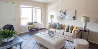 Z53 Apartments Gallery 6