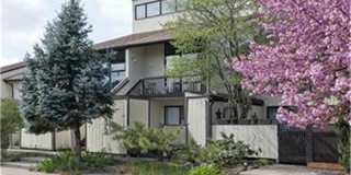 16-B RUNNEMEDE Gallery 1