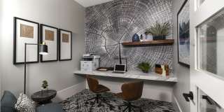 Austin Avenue Gallery 24