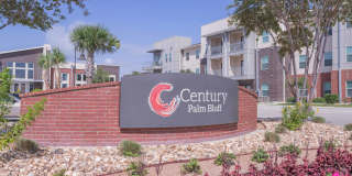 Century Palm Bluff Gallery 3