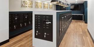 Lincoln Landing Gallery 28