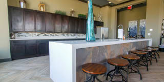 Anatole on Briarwood Gallery 17