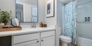 Steeplechase Gallery 29