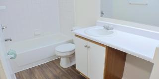 Ambassador Arms Gallery 17