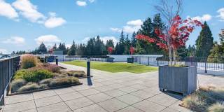 The Artiste Apartment Homes Gallery 5