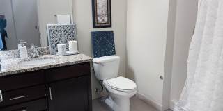 The Elysian Gallery 237