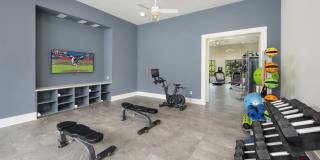 The Statesman Gallery 13