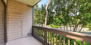 9 Madrona Gallery 24