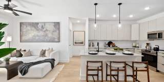 Evado Gallery 2