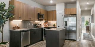 Olympus Latitude Gallery 1