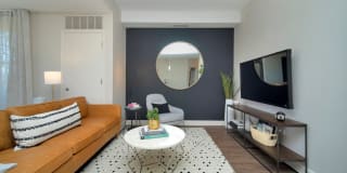 TGM Northshore Gallery 34