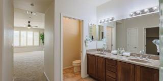41520 N RIVER BEND Court Gallery 22