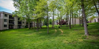 Ashley Apartments Gallery 26