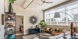 The St. John Gallery 13