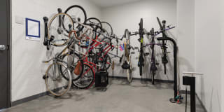 The Whit Gallery 21