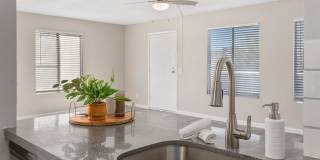 Rise Camelback Gallery 21