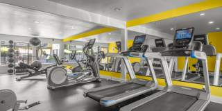 Sunset Square Gallery 62