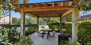 Bellingham Park Bellingham Park Gallery 22