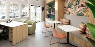 Ava Newport Gallery 6