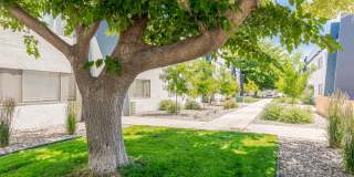 Valley Apartments Gallery 21