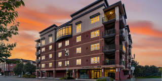 The Felix Gallery 44