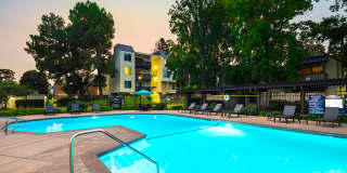 Laurel Crossing Apartment Homes Gallery 9