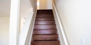 South Austin Living with Room to Spread Out Gallery 10