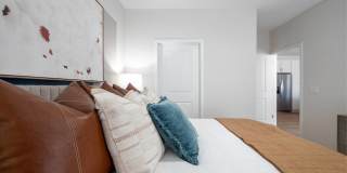 Alta Citron Gallery 63