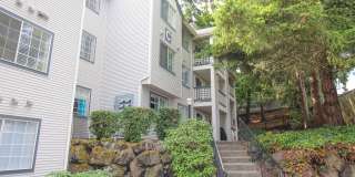 Arbour Court Gallery 1