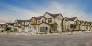 Mt. Rainier Gallery 4