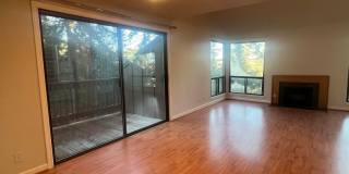 2-Bedroom 2-Bathroom Condo POOL, HOT TUB and GYM included Gallery 1