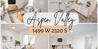 Aspen Valley Aspen Valley Gallery 1