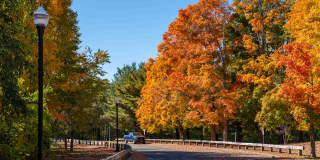 The Devon at Weiss Farm Gallery 35