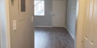 2229 Collyer Street Gallery 6