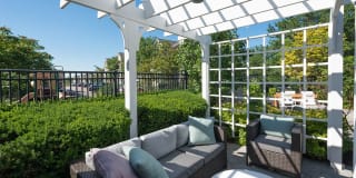 Alister Quincy Gallery 12