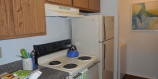 Walden Pond Gallery 1