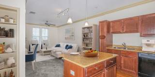 The Village at Lake Lily Gallery 53