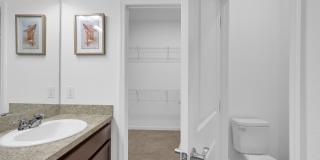 317 Pop Top Lane Gallery 18