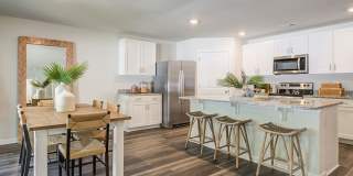 Jackey's Ridge Gallery 9