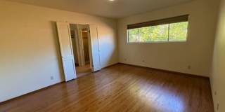 75 Stuart Court Gallery 7