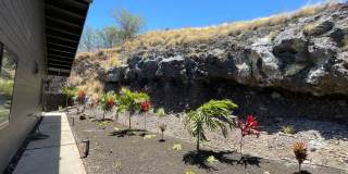 Aloha Always LLC Gallery 29