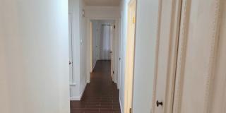 2202 ORANGE BLOSSOM ST Gallery 27