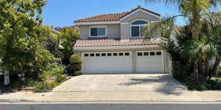 24614 Calle Ardilla Gallery 1