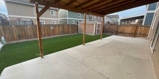 8097 Hardwood Circle Gallery 16