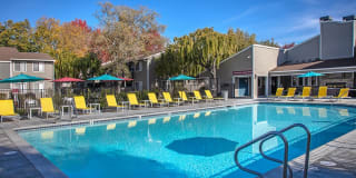 The Alexandar Gallery 16