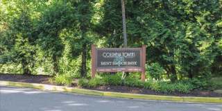 Spacious Ground Floor Condo in Silver Spring Gallery 28