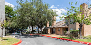 The Iris The Iris Gallery 7