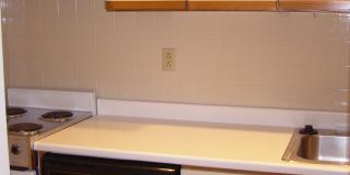 270 Shady Ave Gallery 2