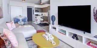 Alea Miami Gallery 4