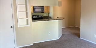 Spacious 1 bedroom/1 bathroom condo at Oasis at Pearl Lake Gallery 6